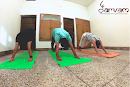 Classical Hatha Yoga