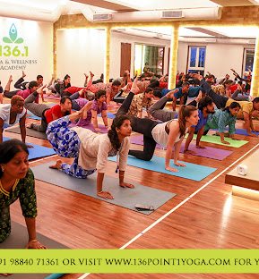  Yoga and  Wellness Academy